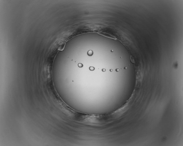 X0000116820182200912181416