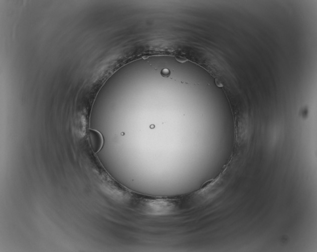 X0000116820183200912181416