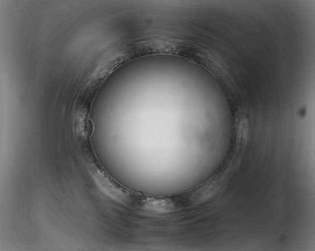 X0000116820185200912181416