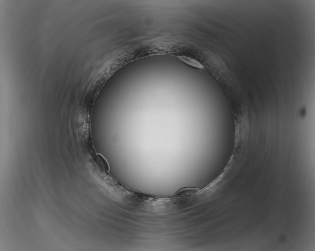 X0000116820186200912181416