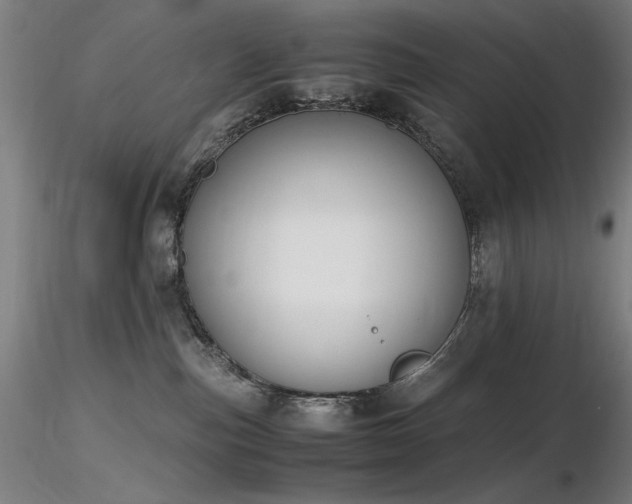 X0000116820187200912181417