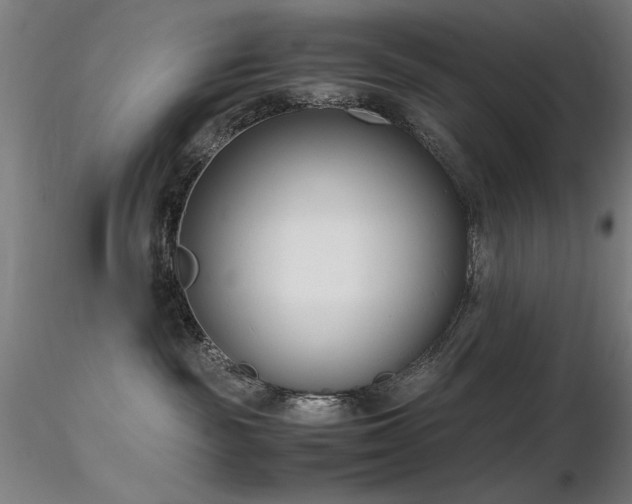 X0000116820189200912181417