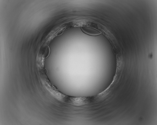 X0000116820191200912181417