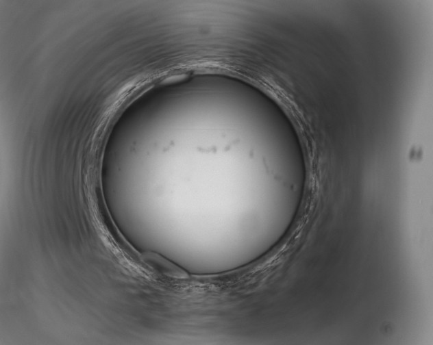 X0000116820193200912181416