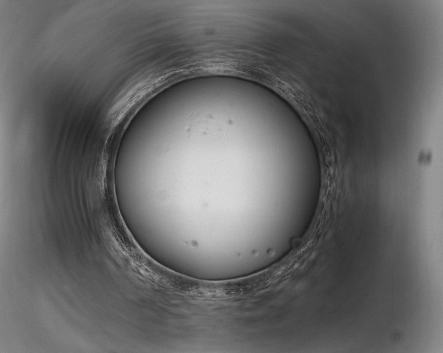 X0000116820194200912181416