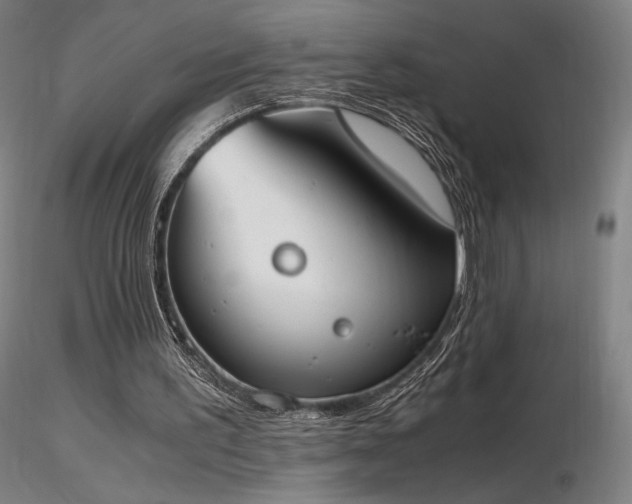 X0000116820195200912181416