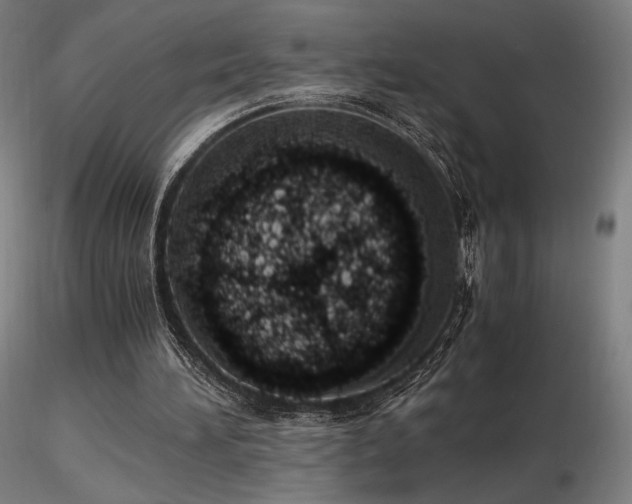 X0000116820196200912181416