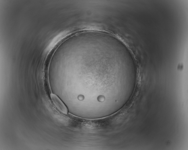 X0000116820199200912181416