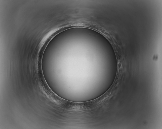 X0000116820200200912181416