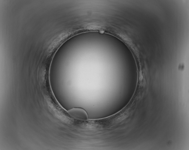 X0000116820201200912181416