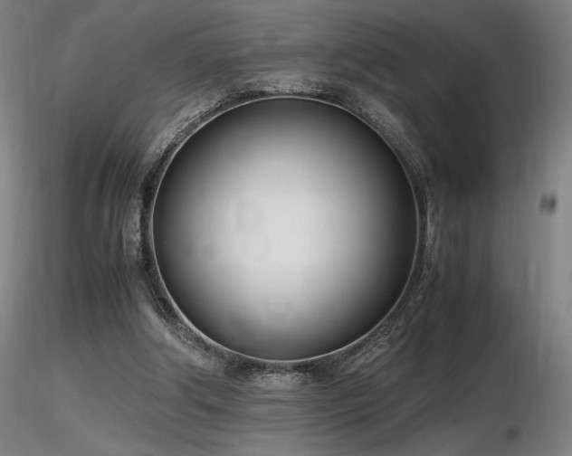 X0000116820202200912181416