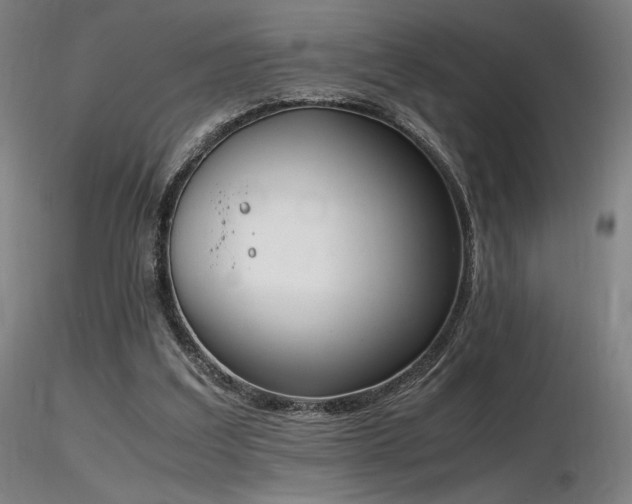 X0000116820203200912181416