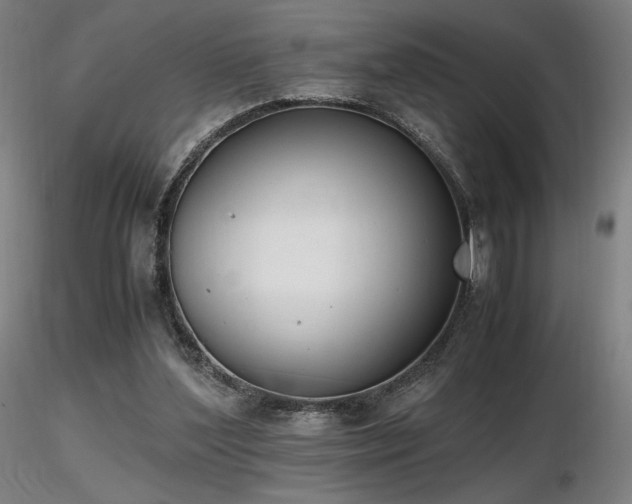 X0000116820204200912181416