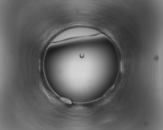 X0000116820205200912181416