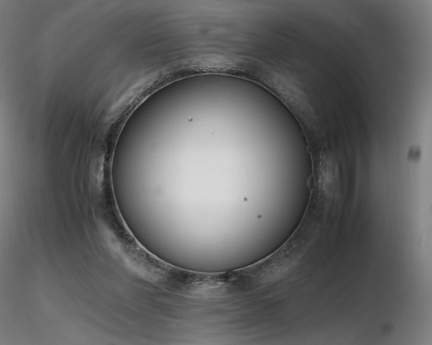 X0000116820206200912181416