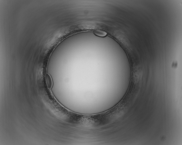 X0000116820207200912181416