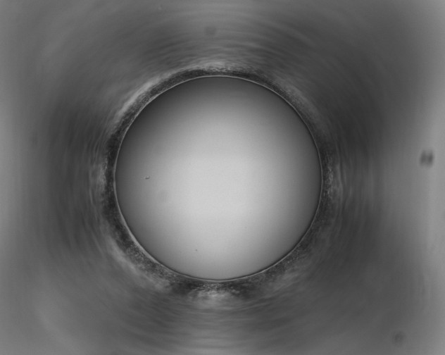 X0000116820208200912181416