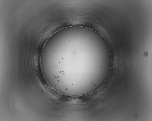 X0000116820210200912181416