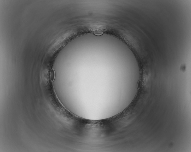 X0000116820211200912181416