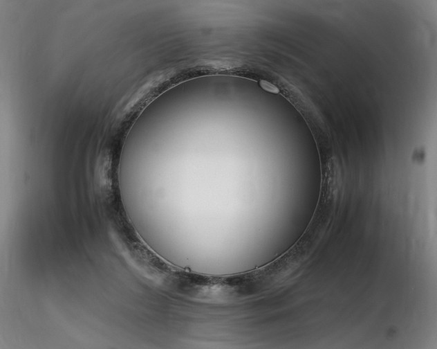 X0000116820212200912181416