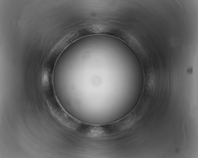 X0000116820214200912181416