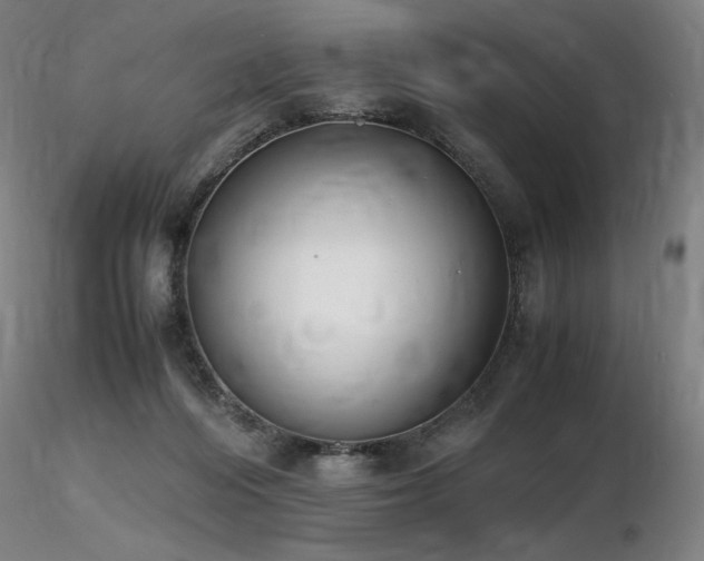 X0000116820216200912181416