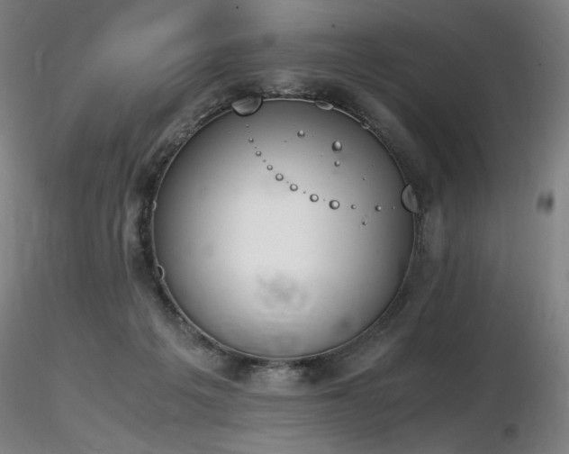 X0000116820217200912181416