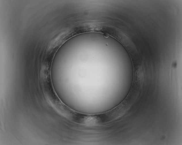 X0000116820218200912181416