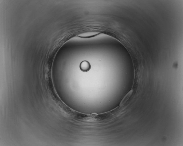 X0000116820219200912181416