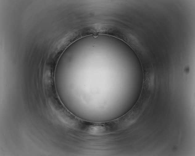 X0000116820220200912181416