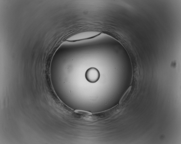 X0000116820221200912181416