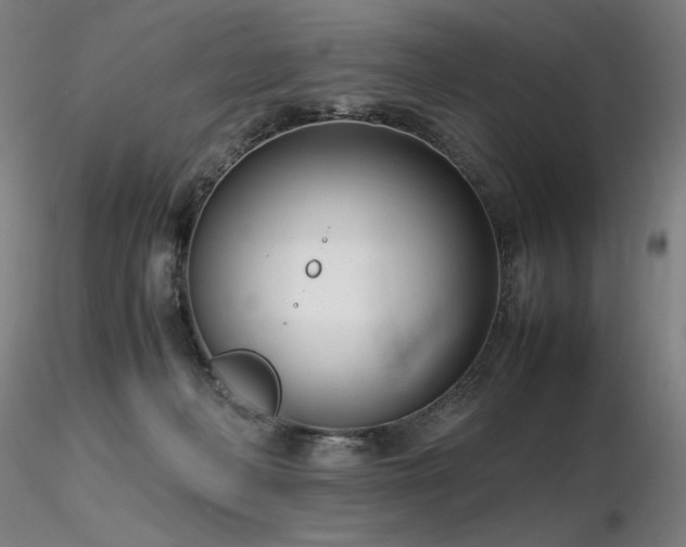 X0000116820222200912181416