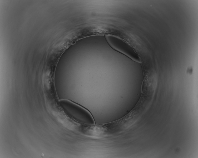 X0000116820223200912181415