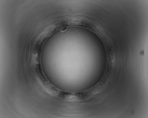 X0000116820224200912181415