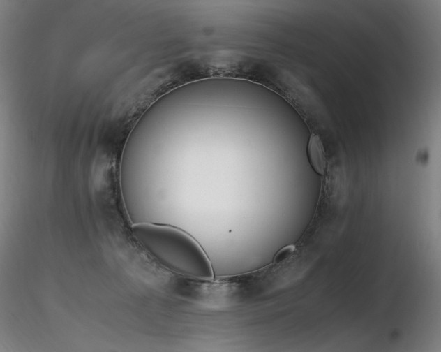 X0000116820225200912181415