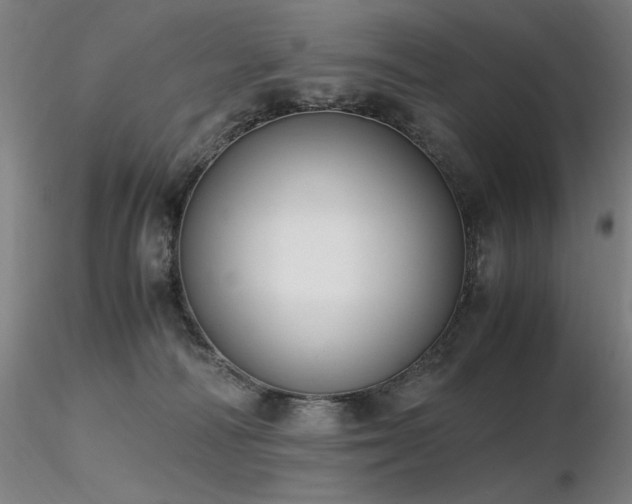 X0000116820226200912181415