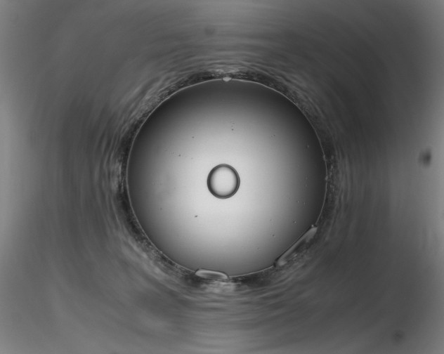 X0000116820227200912181415