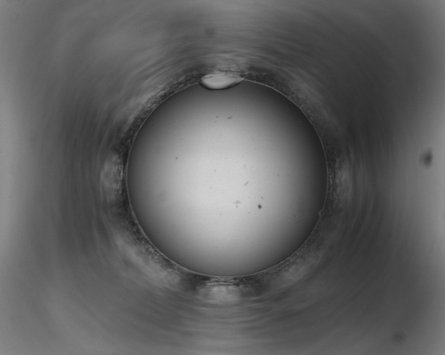 X0000116820228200912181415