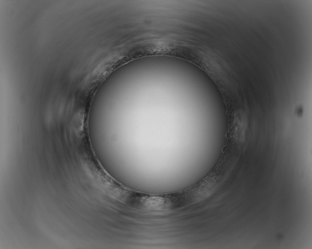 X0000116820230200912181415