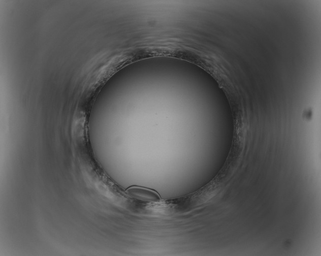 X0000116820231200912181415