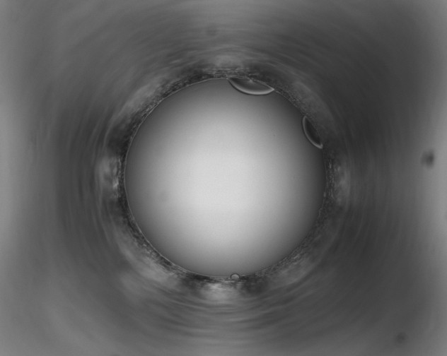 X0000116820232200912181415