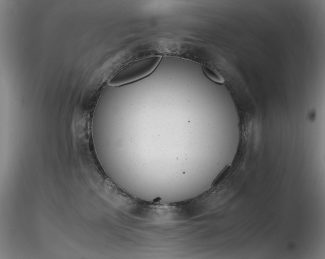 X0000116820233200912181415