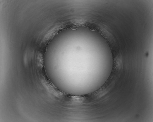 X0000116820234200912181415