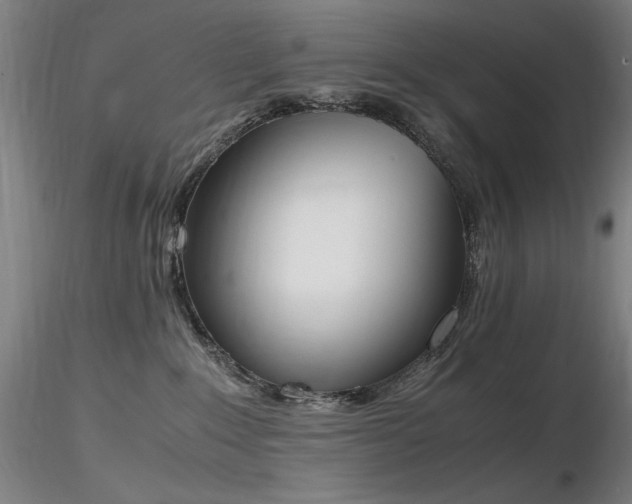 X0000116820235200912181415