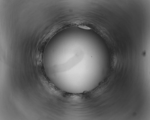 X0000116820236200912181415