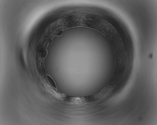 X0000116820239200912181415