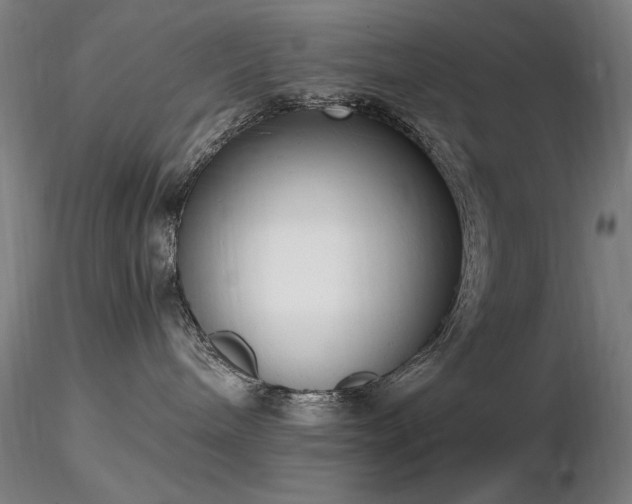 X0000116820240200912181415