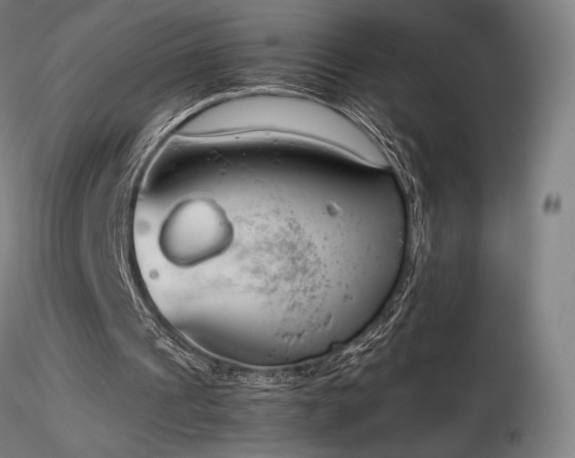 X0000116820241200912181415