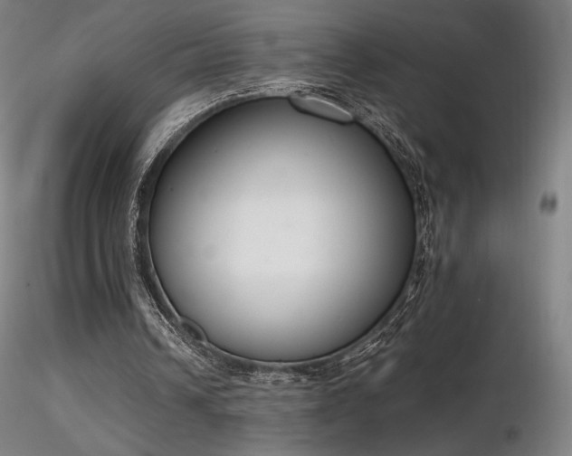 X0000116820242200912181415