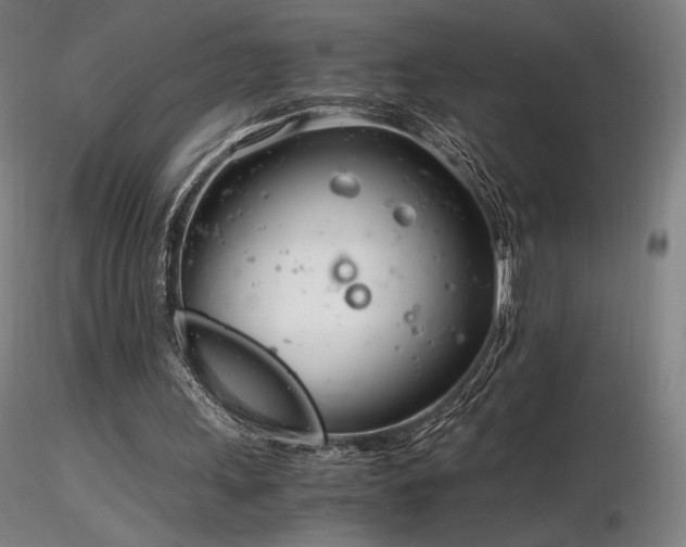 X0000116820243200912181415